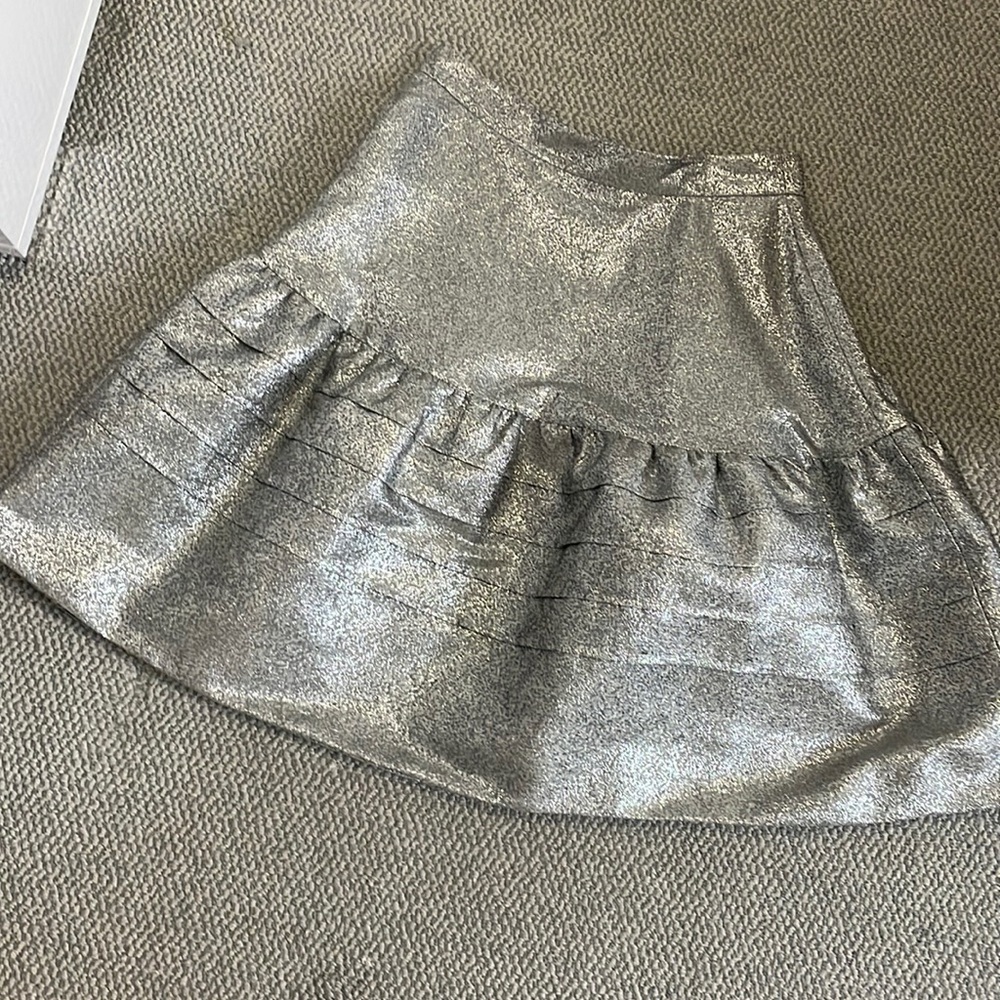 Silver skirt